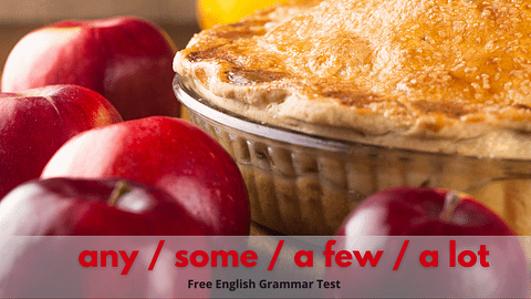any-some-a-few-a-lot-uncountable-countable-nouns-english-test-online
