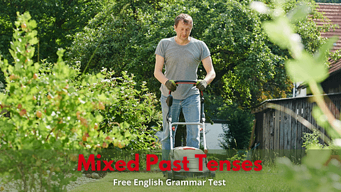 mixed-past-tenses-english-grammar-exercise