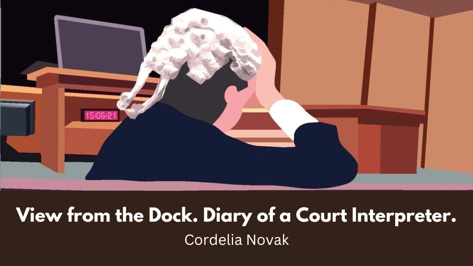View from the Dock - Diary of a Court Interpreter