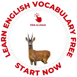 english-vocabulary-exercise-free