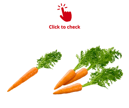carrots-carrot-vocabulary-exercise