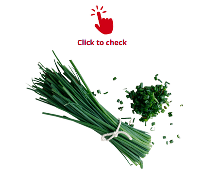 chives-vocabulary-exercise