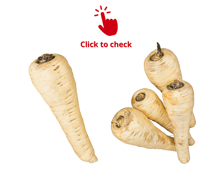 parsnips-parsnip-vocabulary-exercise