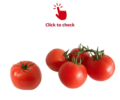 tomato-tomatoes-vocabulary-exercise