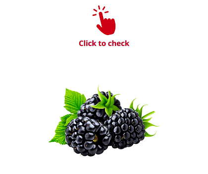 blackberries-vocabulary-exercise
