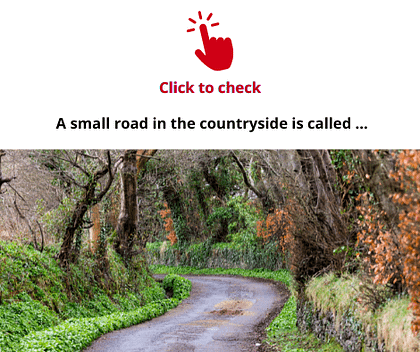 country-lane-vocabulary-exercise