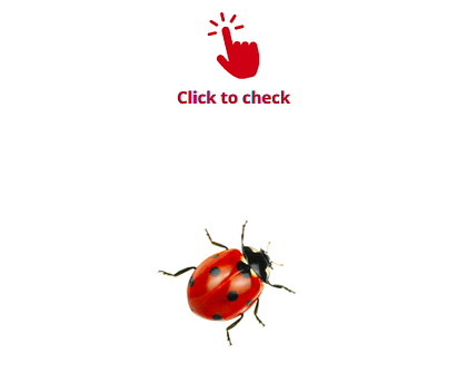 ladybug-vocabulary-exercise