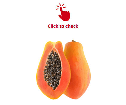 papaya-vocabulary-exercise