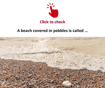 pebble-beach-vocabulary-exercise