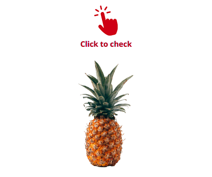 pineapple-vocabulary-exercise