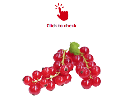 red-currants-vocabulary-exercise