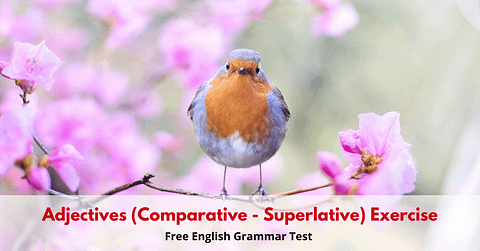 Adjectives-Comparative-Superlative-Exercise