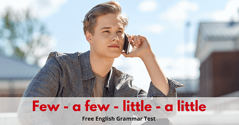Few-a-few-little-a-little-grammar-test-exercise